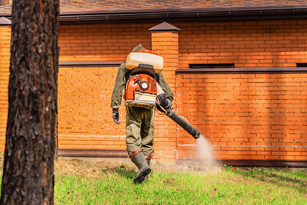 Trusted Ant Control service in Wormleysburg, PA - Nex Pest Control